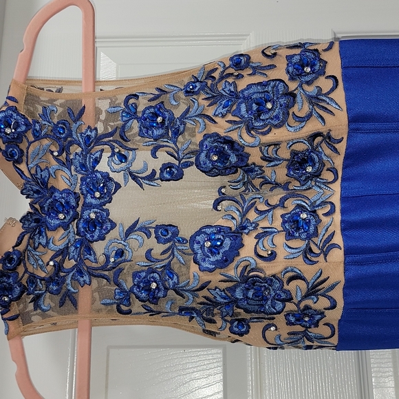 Gorgeous Terani Couture formal - Picture 3 of 4